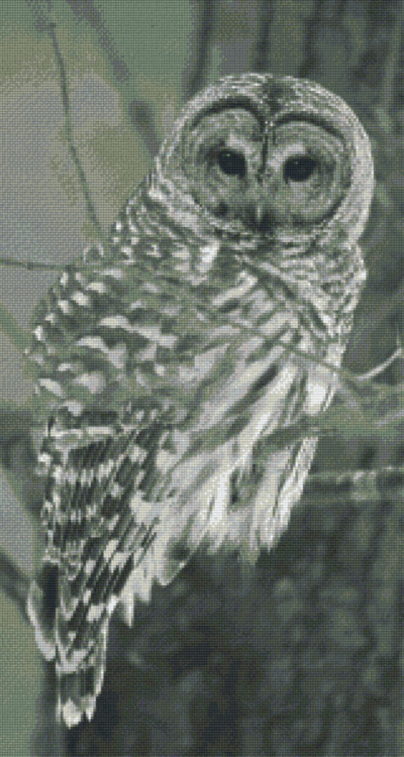 Owl Twenty-Four [24] Baseplate PixelHobby Mini-mosaic Art Kit image 0